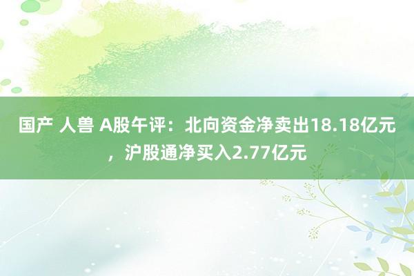 国产 人兽 A股午评：北向资金净卖出18.18亿元，沪股通净买入2.77亿元