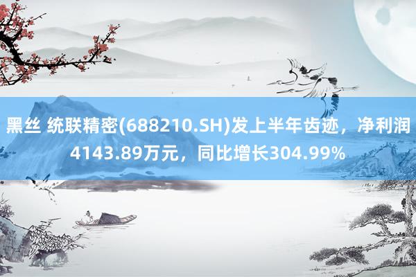 黑丝 统联精密(688210.SH)发上半年齿迹，净利润4143.89万元，同比增长304.99%