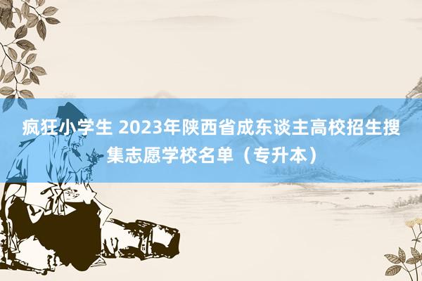 疯狂小学生 2023年陕西省成东谈主高校招生搜集志愿学校名单（专升本）