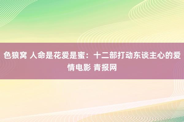 色狼窝 人命是花爱是蜜：十二部打动东谈主心的爱情电影 青报网