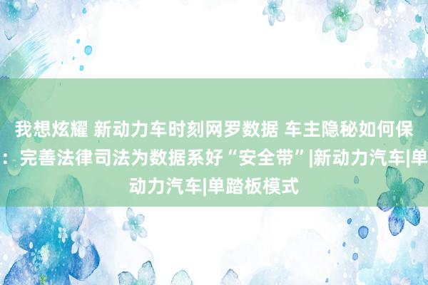 我想炫耀 新动力车时刻网罗数据 车主隐秘如何保护？民众：完善法律司法为数据系好“安全带”|新动力汽车|单踏板模式